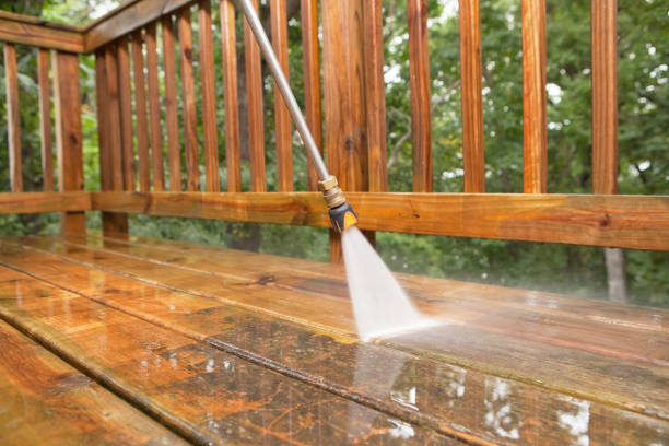 Best Dumpster Area Cleaning  in Jackson, WI